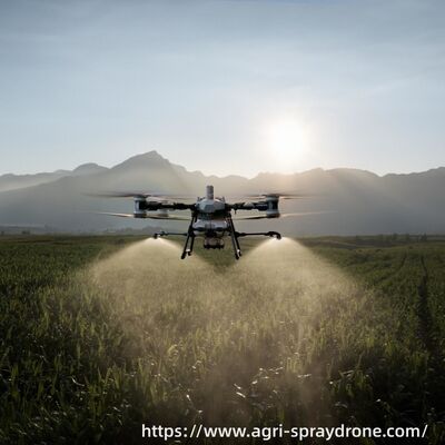 Хорошая цена DJI Agras T50 1,5 тонны удобрений в час, построенный для крупномасштабного сельского хозяйства Аргентины онлайн